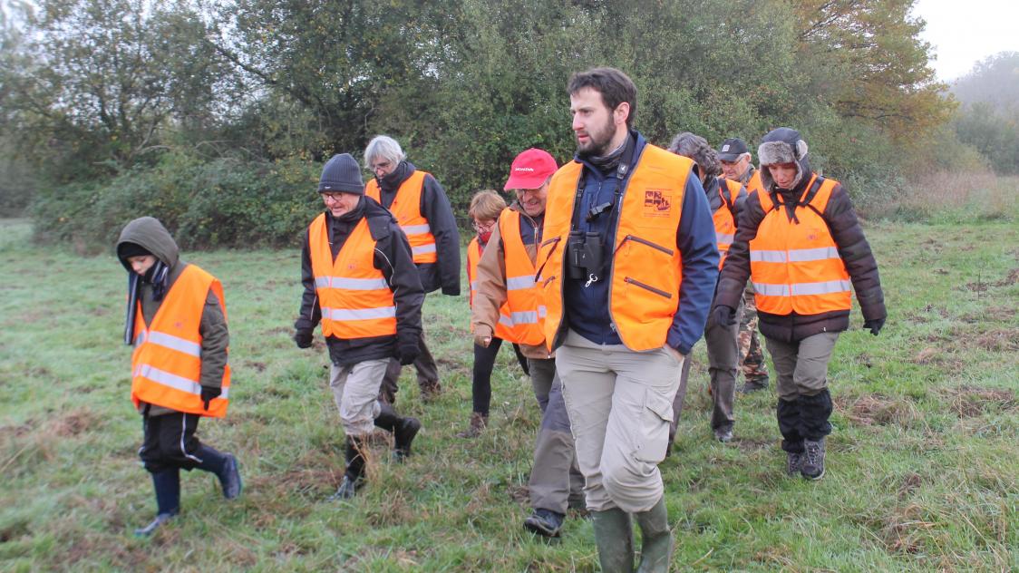 Gilet orange store chasse obligatoire 2019